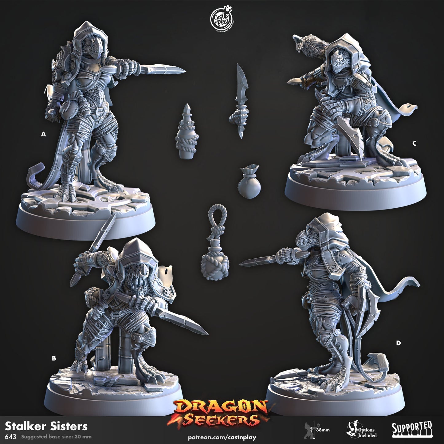 Dragon Seekers | Rogue/Assassin/Thief | CastnPlay | Compatible with D&D/AoS | Fantasy | Tabletop RPG