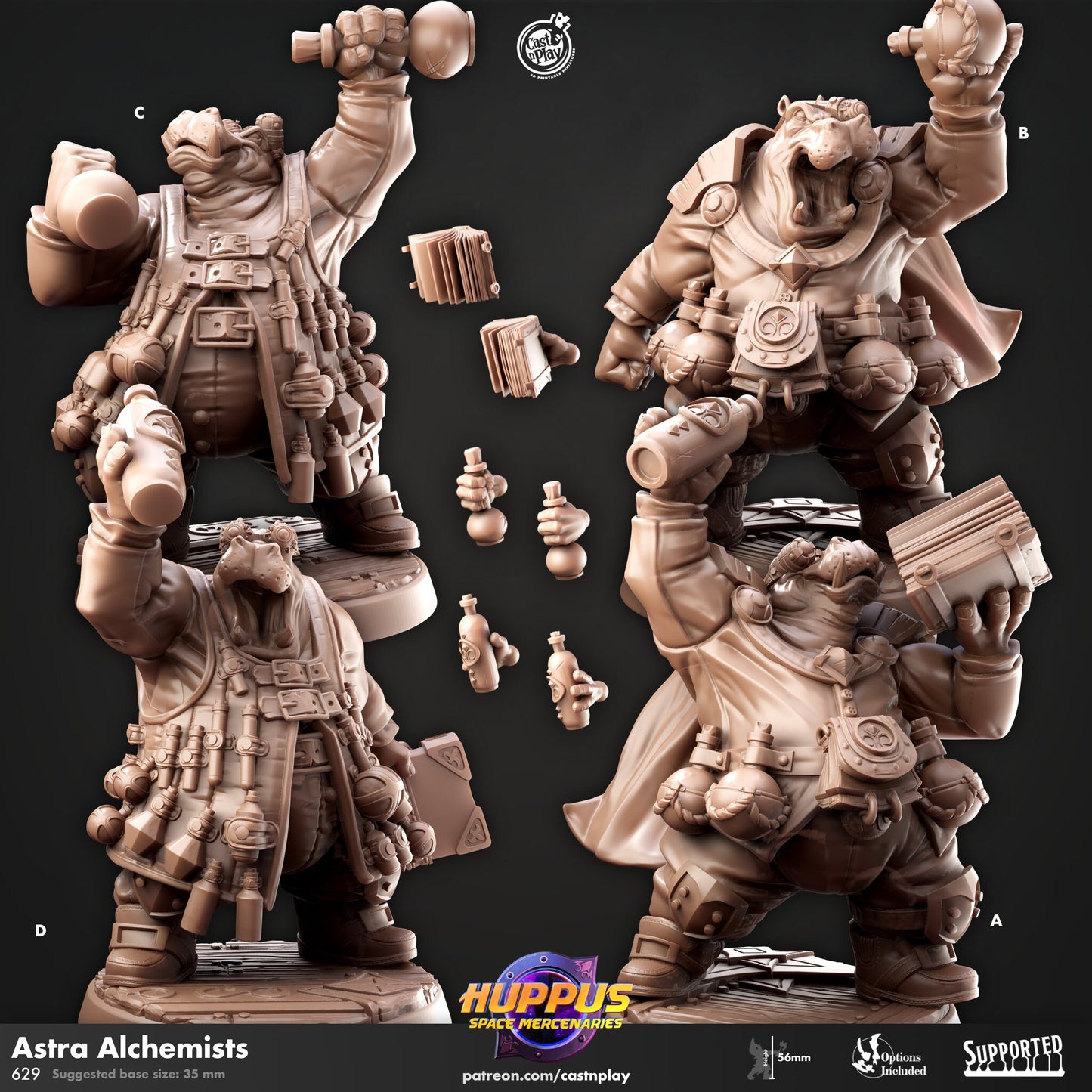 Huppus Space Mercenaries | Giff Spelljammer | Paladin/Monk/Alchemist/Monk/| CastnPlay | Compatible with D&D/AoS | Fantasy - Tabletop RPG