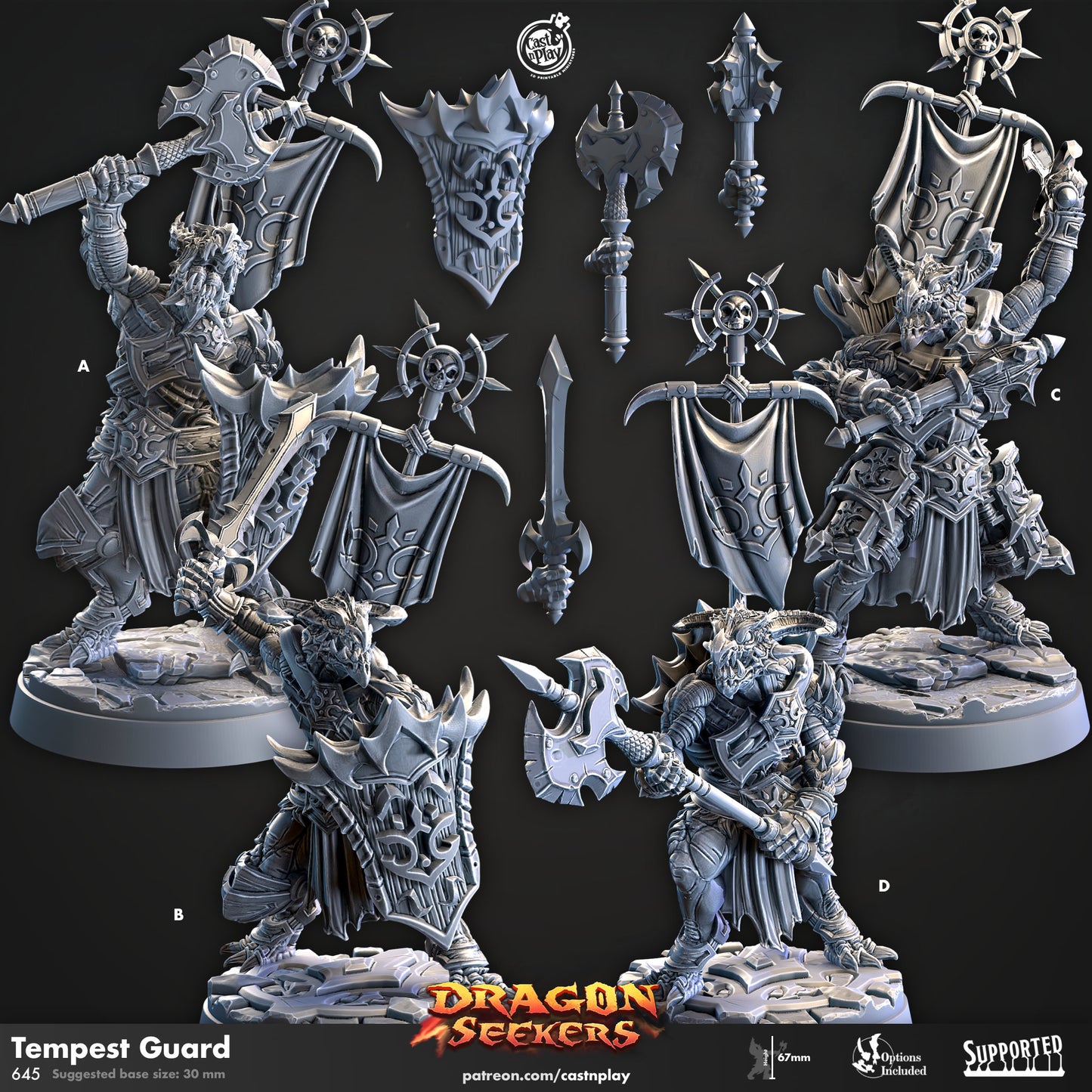 Dragon Seekers | Warrior/Brute/Barbarian | CastnPlay | Compatible with D&D/AoS | Fantasy | Tabletop RPG