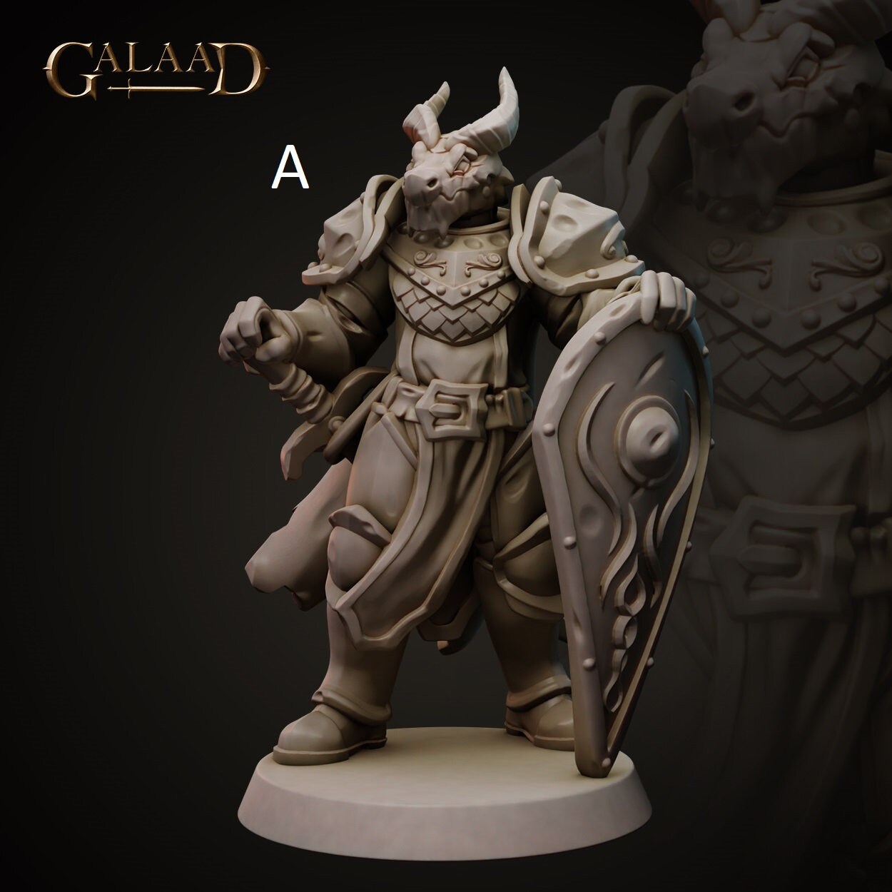 Knight | Human/Dragonborn | Galaad Miniatures | Compatible with D&D/AoS | Fantasy | Tabletop RPG