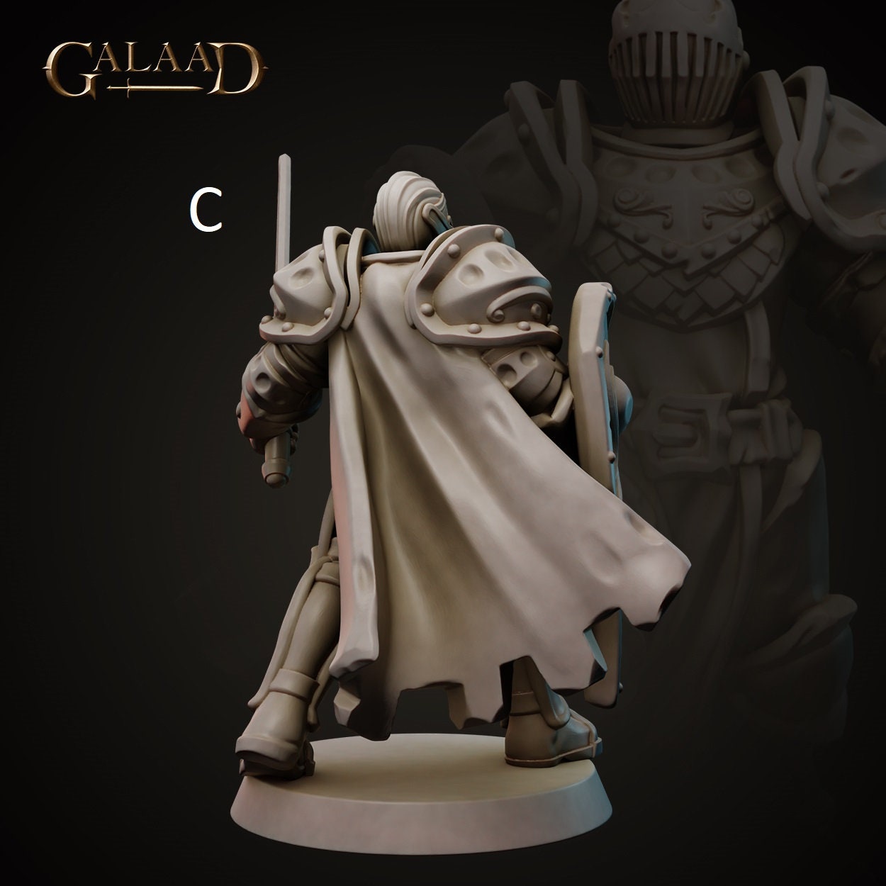 Knight | Human/Dragonborn | Galaad Miniatures | Compatible with D&D/AoS | Fantasy | Tabletop RPG