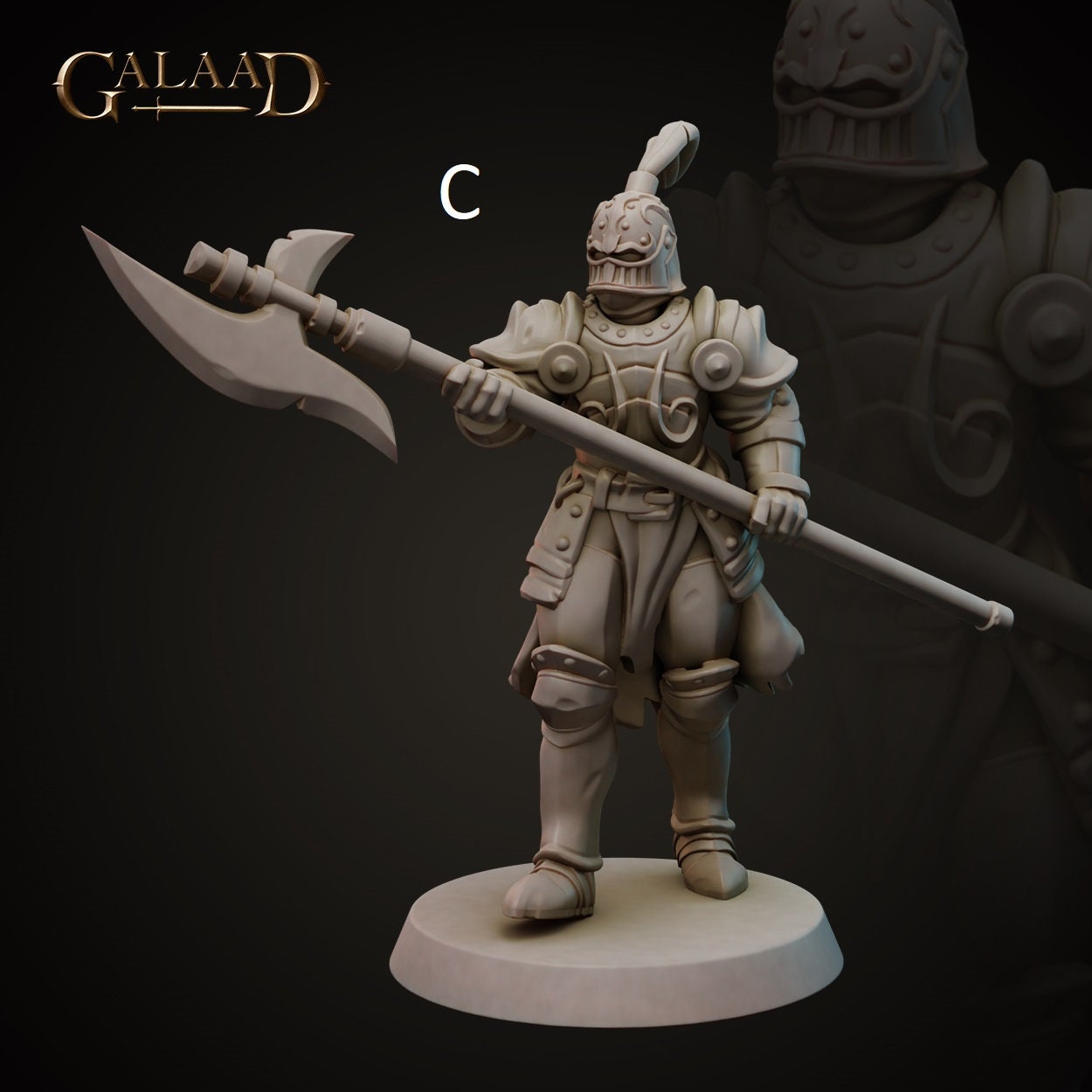 Spear/Halberd Knight | Human/Dragonborn | Galaad Miniatures | Compatible with D&D/AoS | Fantasy | Tabletop RPG