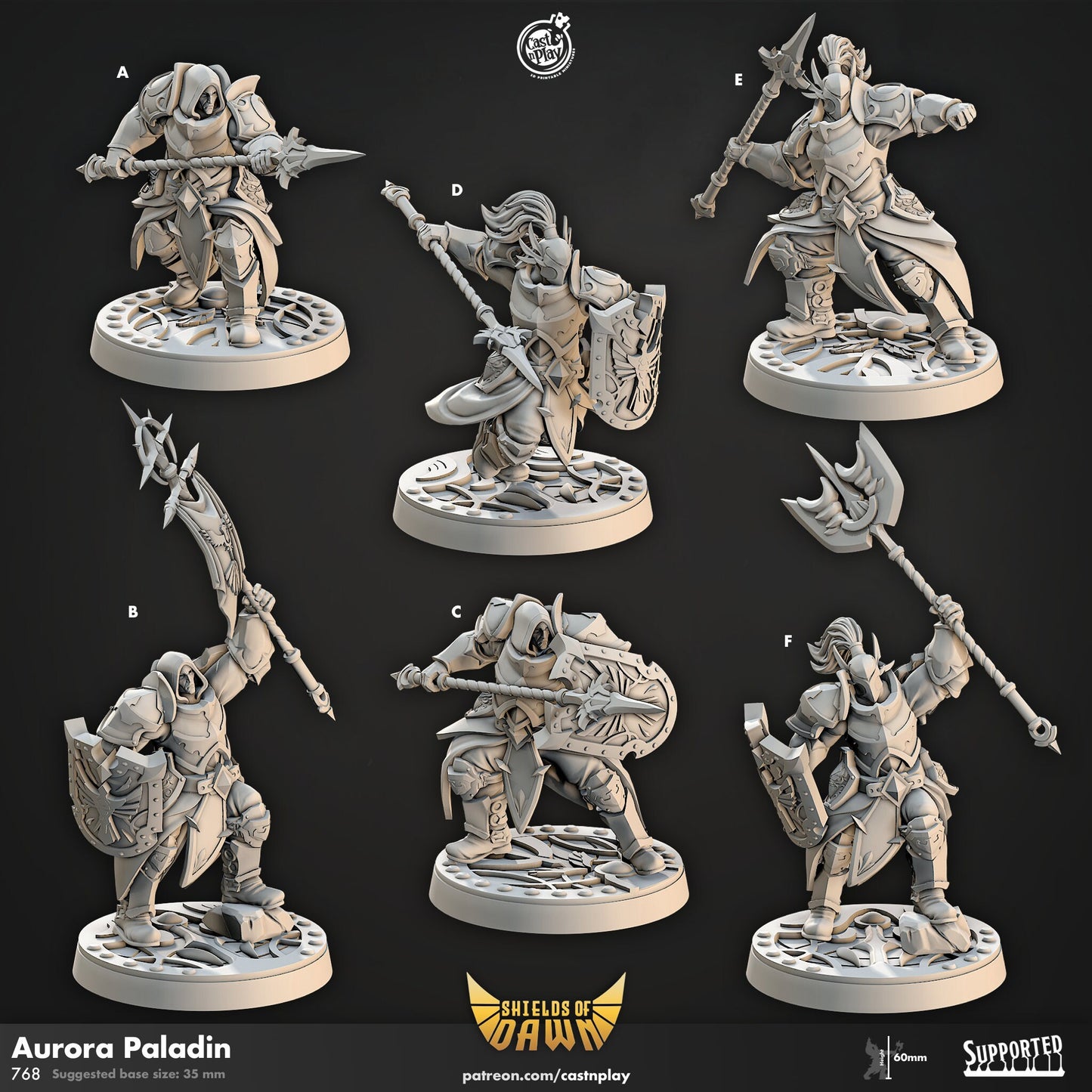 Aurora Paladin Shields of Dawn | CastnPlay | Compatible with D&D/AoS | Fantasy