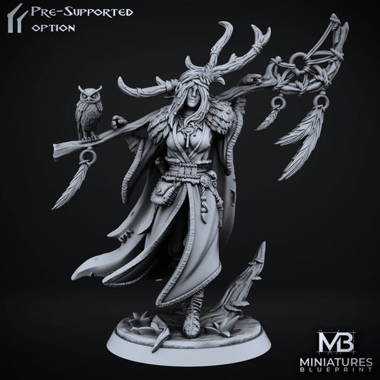 Female Elf Druid Drelia | Miniatures Blueprint | Compatible with D&D/AoS | Fantasy