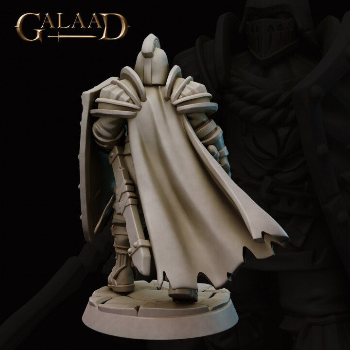 a statue of a knight with a cape