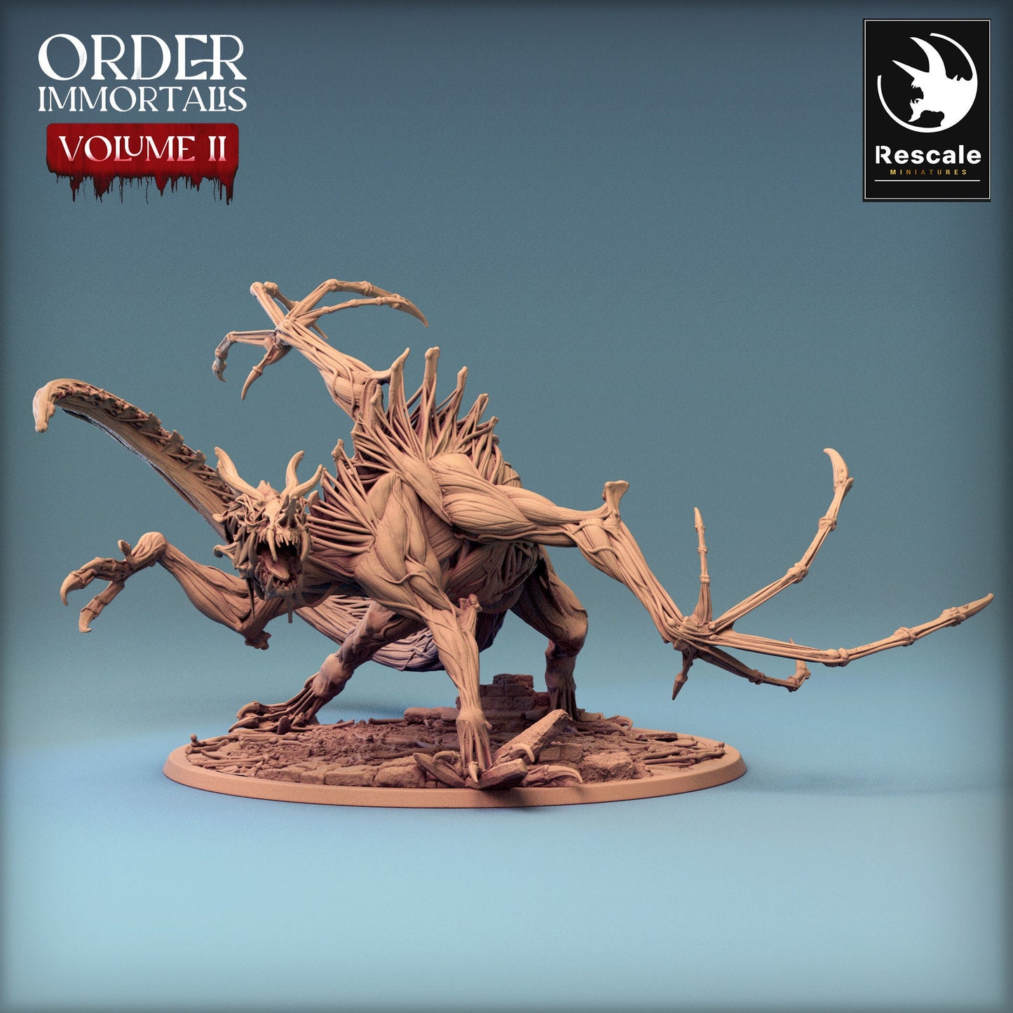 Immortalis Drake Attack Skinless | Rescale Miniatures | Compatible with D&D/AoS | Fantasy | Tabletop RPG