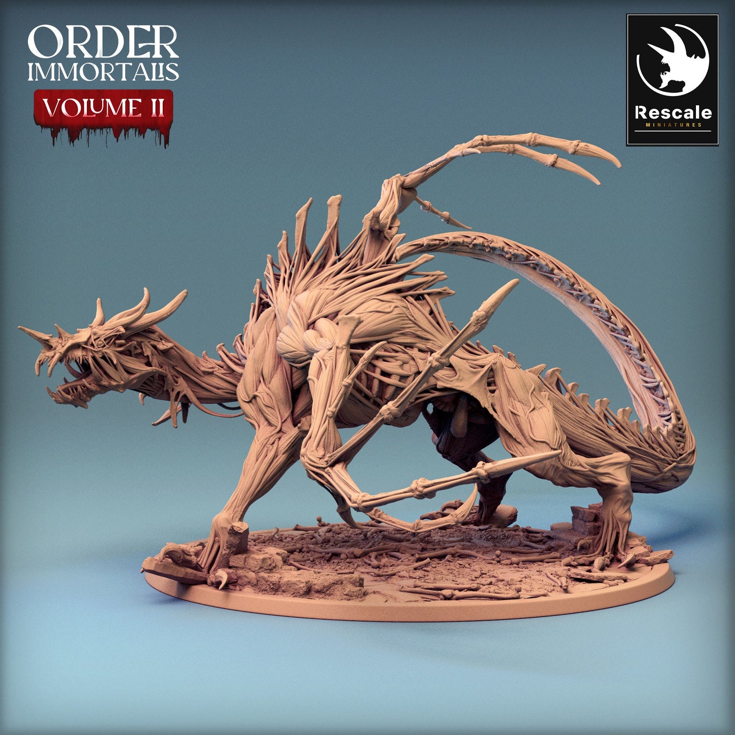 Immortalis Drake Attack Skinless | Rescale Miniatures | Compatible with D&D/AoS | Fantasy | Tabletop RPG