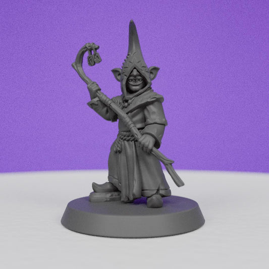 Goblin Wizard | Galaad Miniatures | Compatible with D&D/AoS | Fantasy | Tabletop RPG