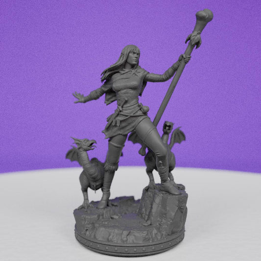 Female Half Elf Yllaaga | Primal Collectibles | Compatible with D&D/AoS | Fantasy
