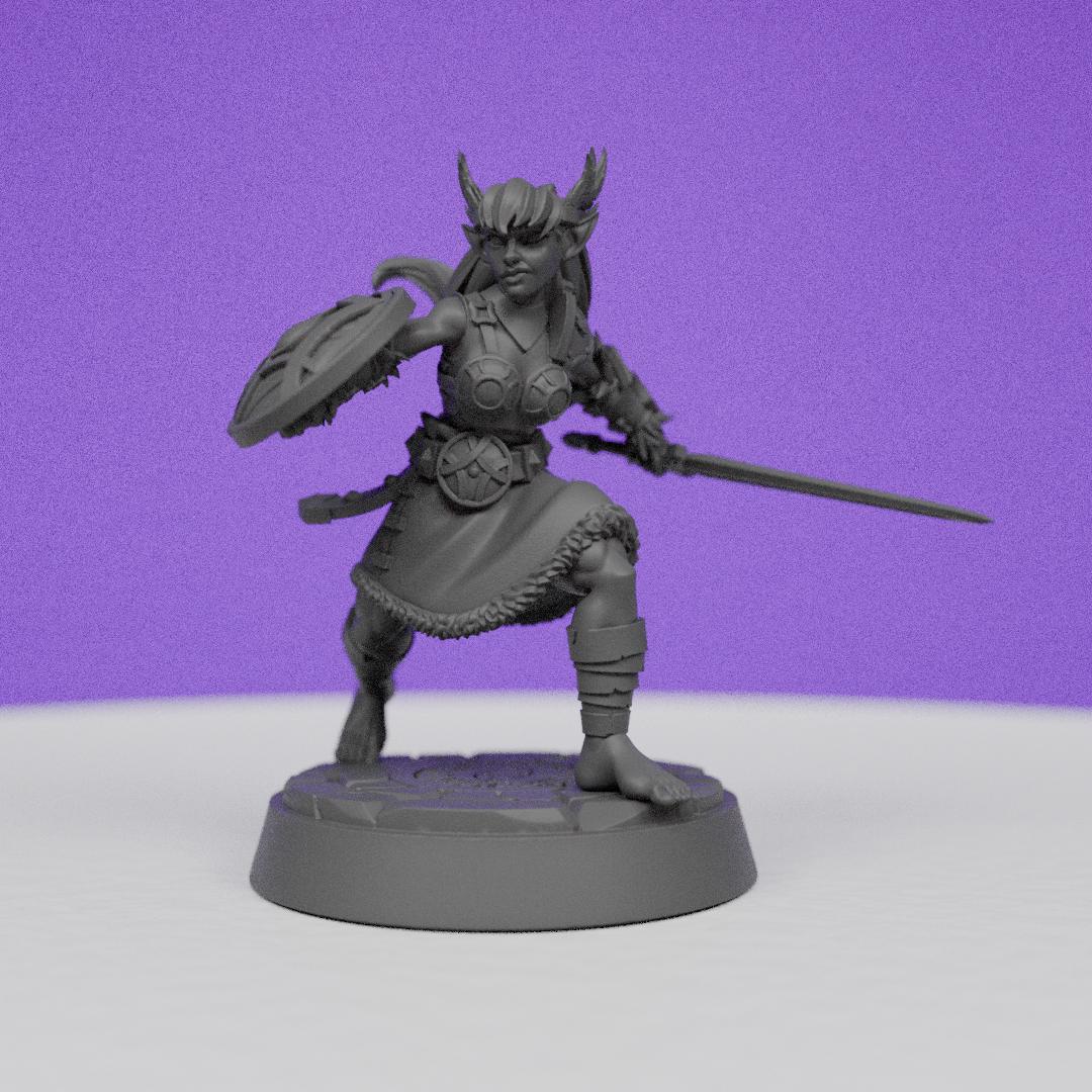 Northwind Vikings Shield Valkyrie | CastnPlay | Compatible with D&D/AoS | Fantasy | Tabletop RPG