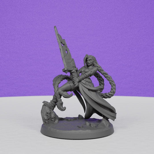 Female Paladin Ninijix | Miniatures Blueprint | Compatible with D&D/AoS | Fantasy