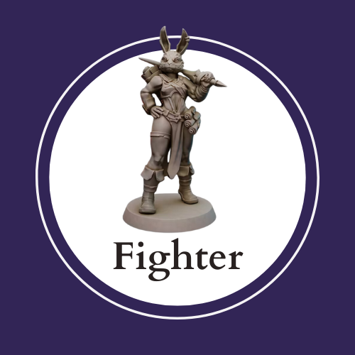 Fighter Collection cover image: compatible Warhammer miniatures and Dungeons and Dragons miniatures