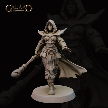 Illusion Mage | Female Human/Elf | Tiger / Bird Illusions | Galaad Miniatures | Compatible with D&D/AoS | Fantasy - Tabletop RPG