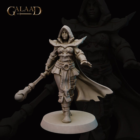 Illusion Mage | Female Human/Elf | Tiger / Bird Illusions | Galaad Miniatures | Compatible with D&D/AoS | Fantasy - Tabletop RPG