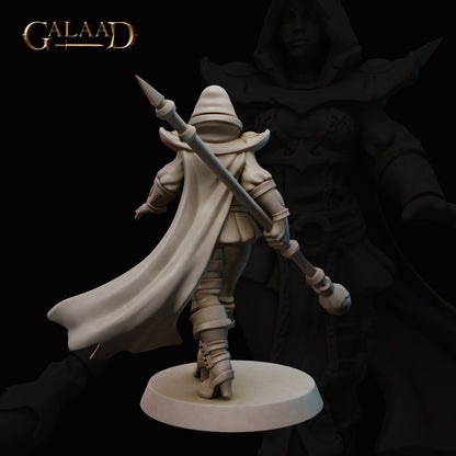 Illusion Mage | Female Human/Elf | Tiger / Bird Illusions | Galaad Miniatures | Compatible with D&D/AoS | Fantasy - Tabletop RPG