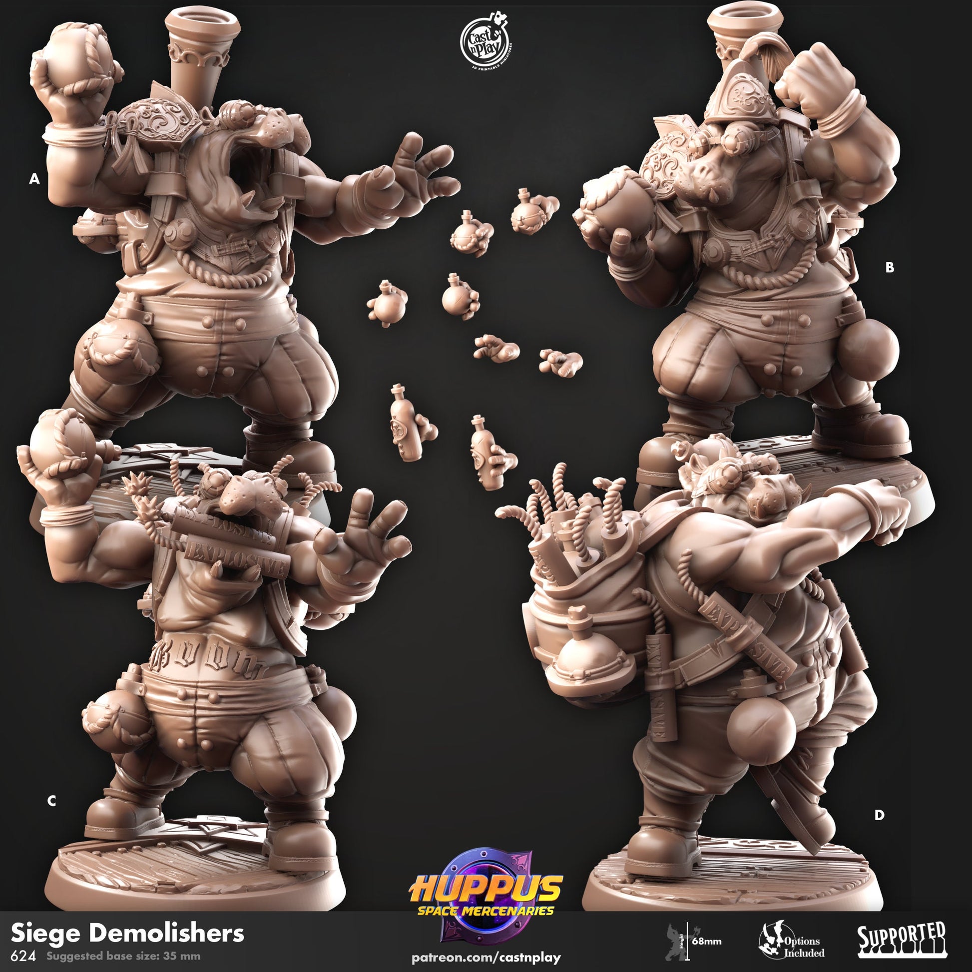 Huppus Space Mercenaries | Giff Spelljammer | Warrior/Barbarian/Rogue| CastnPlay | Compatible with D&D/AoS | Fantasy - Tabletop RPG
