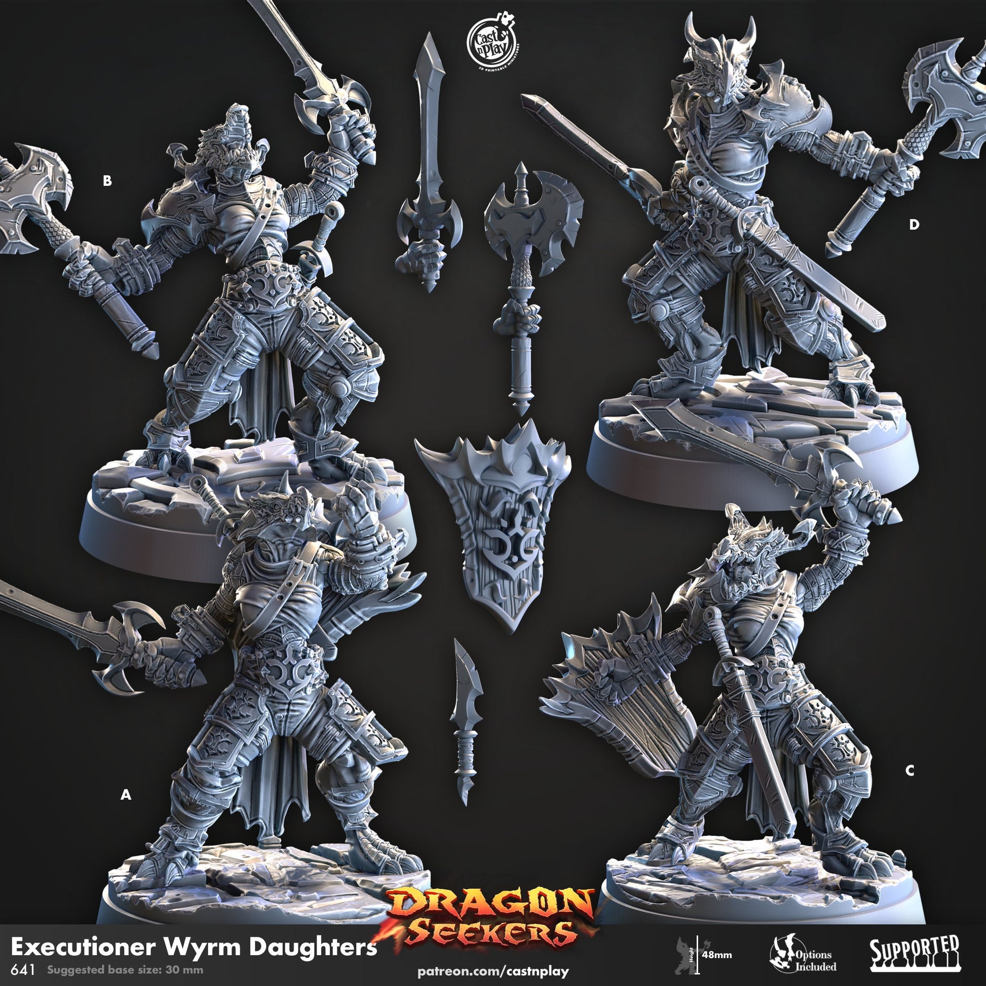Dragon Seekers | Warrior/Brute/Barbarian | CastnPlay | Compatible with D&D/AoS | Fantasy | Tabletop RPG
