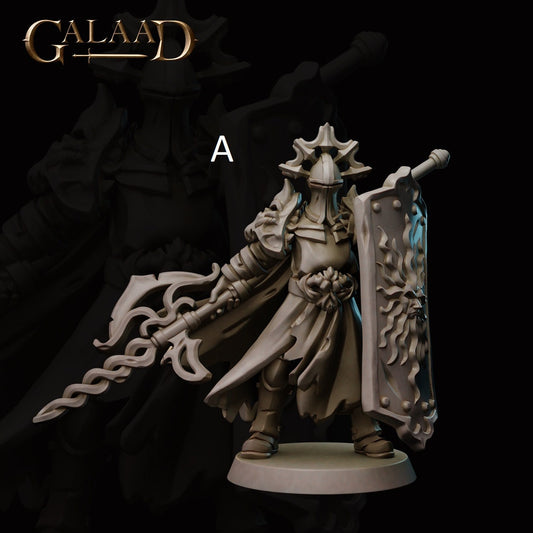 Knight/Guard | Galaad Miniatures | Compatible with D&D/AoS | Fantasy | Tabletop RPG