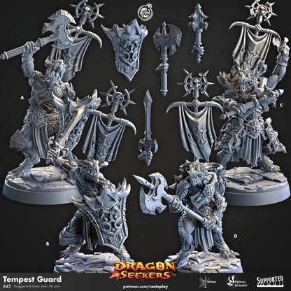 Dragon Seekers | Warrior/Brute/Barbarian | CastnPlay | Compatible with D&D/AoS | Fantasy | Tabletop RPG