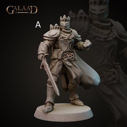 King/Lord | Human/Dragonborn | Galaad Miniatures | Compatible with D&D/AoS | Fantasy | Tabletop RPG