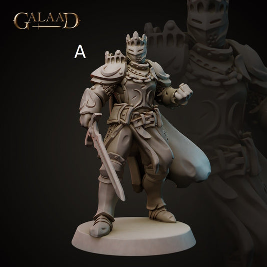 King/Lord | Human/Dragonborn | Galaad Miniatures | Compatible with D&D/AoS | Fantasy | Tabletop RPG