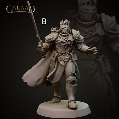 King/Lord | Human/Dragonborn | Galaad Miniatures | Compatible with D&D/AoS | Fantasy | Tabletop RPG