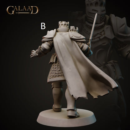 King/Lord | Human/Dragonborn | Galaad Miniatures | Compatible with D&D/AoS | Fantasy | Tabletop RPG