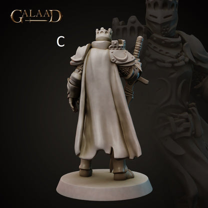 King/Lord | Human/Dragonborn | Galaad Miniatures | Compatible with D&D/AoS | Fantasy | Tabletop RPG