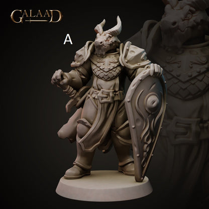 Knight | Human/Dragonborn | Galaad Miniatures | Compatible with D&D/AoS | Fantasy | Tabletop RPG