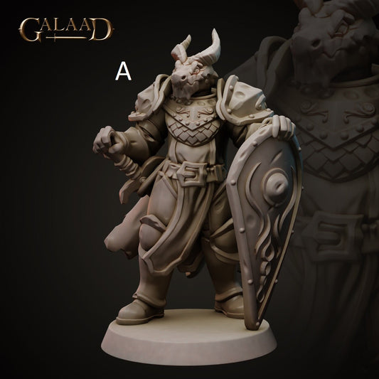 Knight | Human/Dragonborn | Galaad Miniatures | Compatible with D&D/AoS | Fantasy | Tabletop RPG
