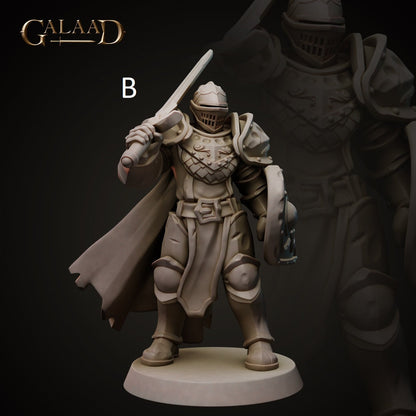 Knight | Human/Dragonborn | Galaad Miniatures | Compatible with D&D/AoS | Fantasy | Tabletop RPG
