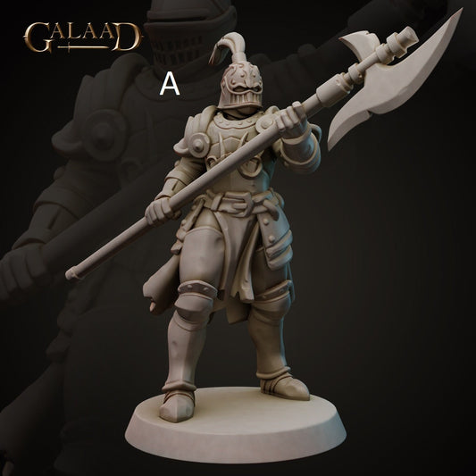 Spear/Halberd Knight | Human/Dragonborn | Galaad Miniatures | Compatible with D&D/AoS | Fantasy | Tabletop RPG
