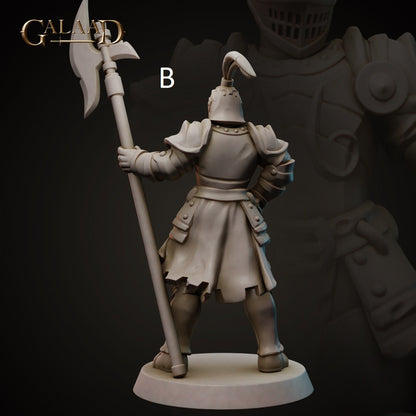Spear/Halberd Knight | Human/Dragonborn | Galaad Miniatures | Compatible with D&D/AoS | Fantasy | Tabletop RPG