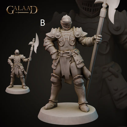 Spear/Halberd Knight | Human/Dragonborn | Galaad Miniatures | Compatible with D&D/AoS | Fantasy | Tabletop RPG