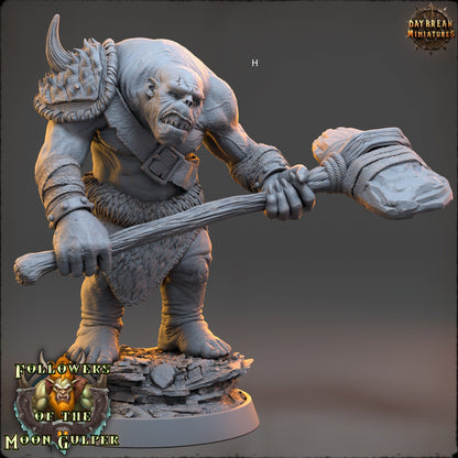 Troll King/Brute/Shaman/Warrior | DayBreak Miniatures | Compatible with D&D/AOS | Fantasy | Tabletop