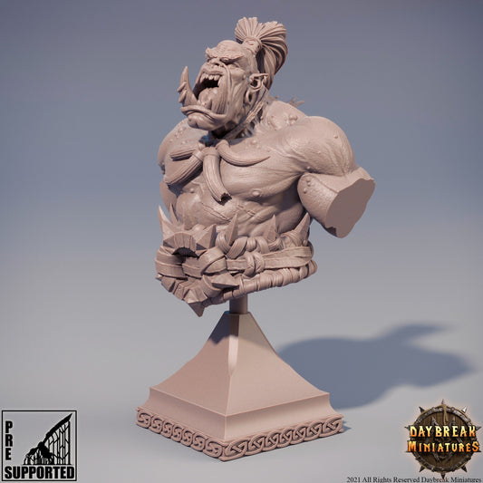 Hector Stumpfkant Bust | DayBreak Miniatures | Compatible with D&D/AOS | Fantasy | Tabletop