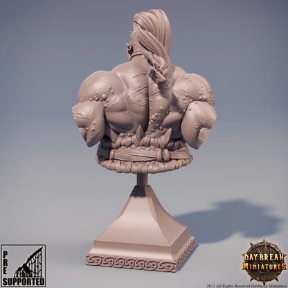 Hector Stumpfkant Bust | DayBreak Miniatures | Compatible with D&D/AOS | Fantasy | Tabletop