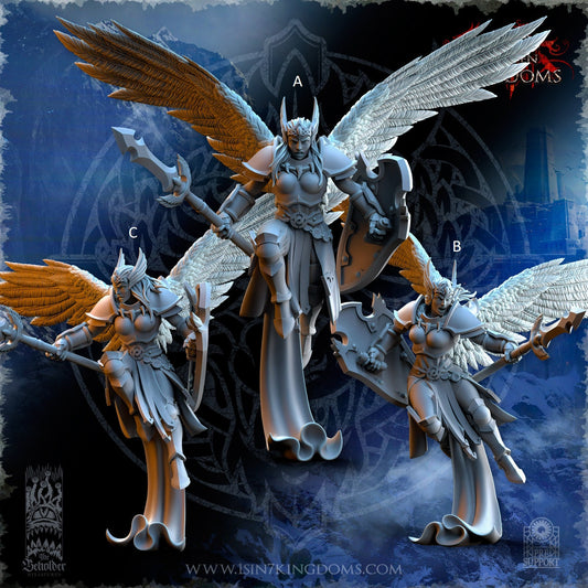 Storm Wolves Valkyrie Eternals | The Beholder Miniatures | Compatible with D&D/AoS | Fantasy | Tabletop RPG
