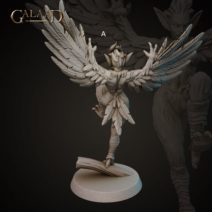 Harpy Female | Galaad Miniatures | Compatible with D&D/AoS | Fantasy | Tabletop RPG