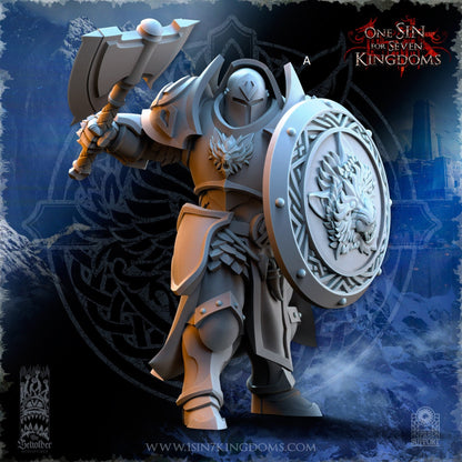 StormWolves Punisher | The Beholder Miniatures | Compatible with D&D/AoS | Fantasy | Tabletop RPG