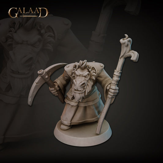 Kobold Wizard | Galaad Miniatures | Compatible with D&D/AoS | Fantasy | Tabletop RPG