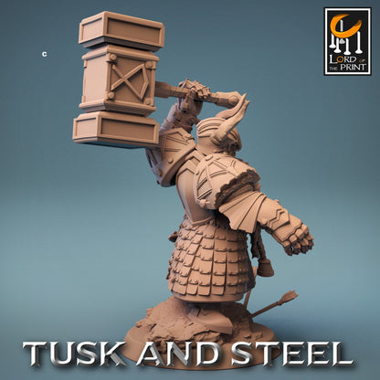Dwarf Warrior Heavy Armour | Rescale Miniatures | Compatible with D&D/AoS | Fantasy | Tabletop RPG
