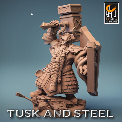 Dwarf Warrior Heavy Armour | Rescale Miniatures | Compatible with D&D/AoS | Fantasy | Tabletop RPG