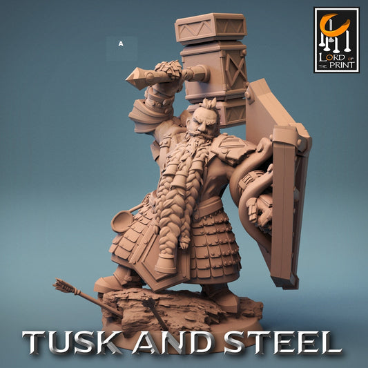 Dwarf Warrior with Shield | Rescale Miniatures | Compatible with D&D/AoS | Fantasy | Tabletop RPG
