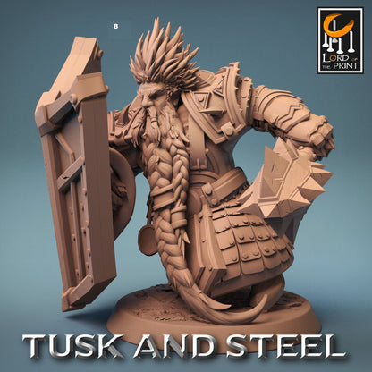 Dwarf Warrior with Shield | Rescale Miniatures | Compatible with D&D/AoS | Fantasy | Tabletop RPG