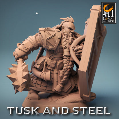 Dwarf Warrior with Shield | Rescale Miniatures | Compatible with D&D/AoS | Fantasy | Tabletop RPG