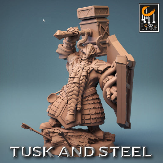 Dwarf Warrior Heavy Armour with Shield | Rescale Miniatures | Compatible with D&D/AoS | Fantasy | Tabletop RPG