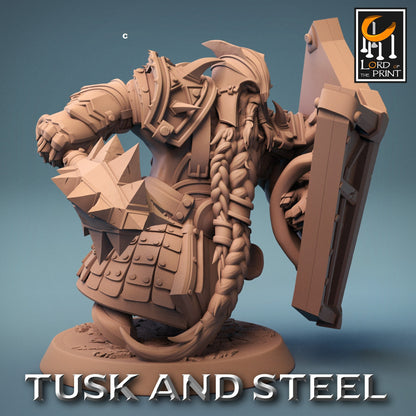 Dwarf Warrior Heavy Armour with Shield | Rescale Miniatures | Compatible with D&D/AoS | Fantasy | Tabletop RPG