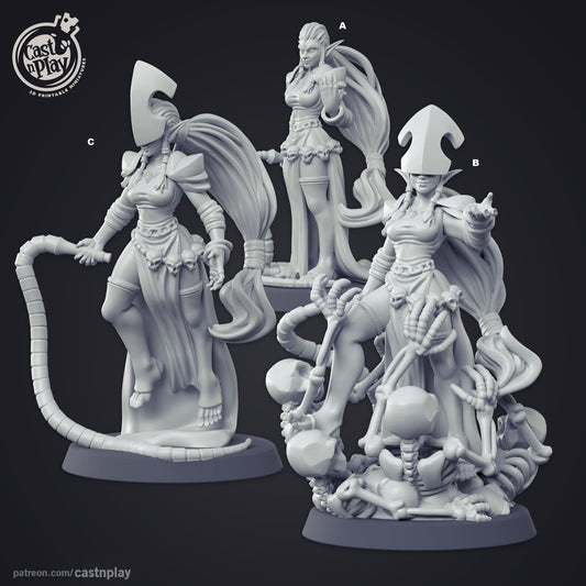 Dark Elf Necromancer | CastnPlay | Compatible with D&D/AoS | Fantasy