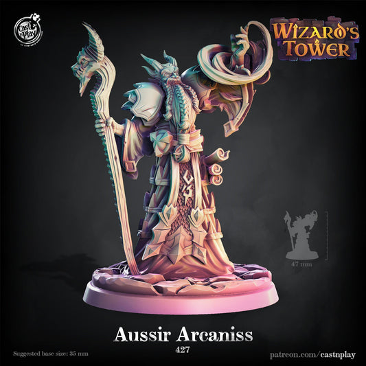 Evil Wizard Aussir | CastnPlay | Compatible with D&D/AoS | Fantasy